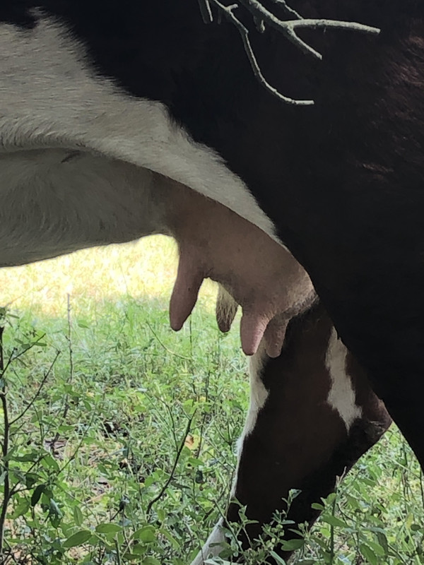 768026EE-FC28-486B-9B39-E8ED7A65AC46