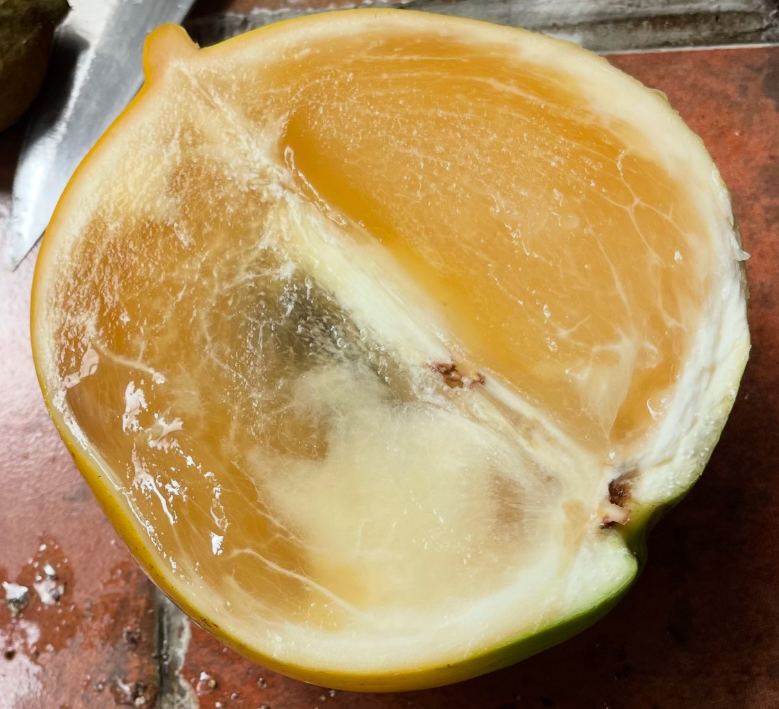 IMG 2555