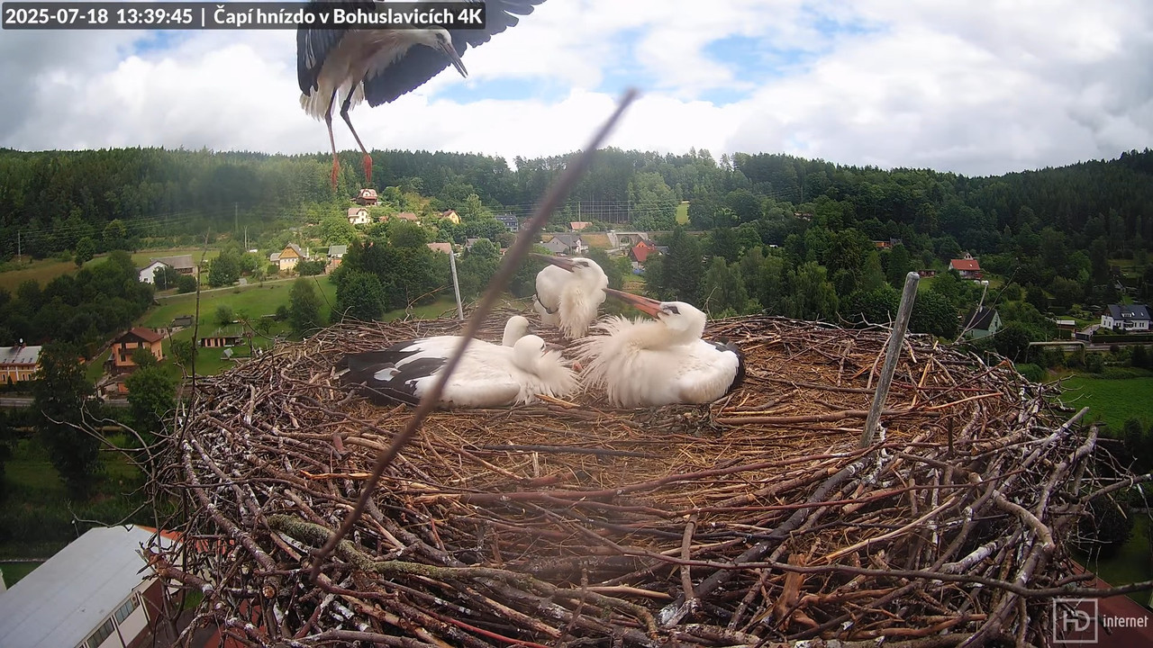 Živě z čapího komína firmy KARA v Bohuslavicích u Trutnova 9-37-25 screenshot