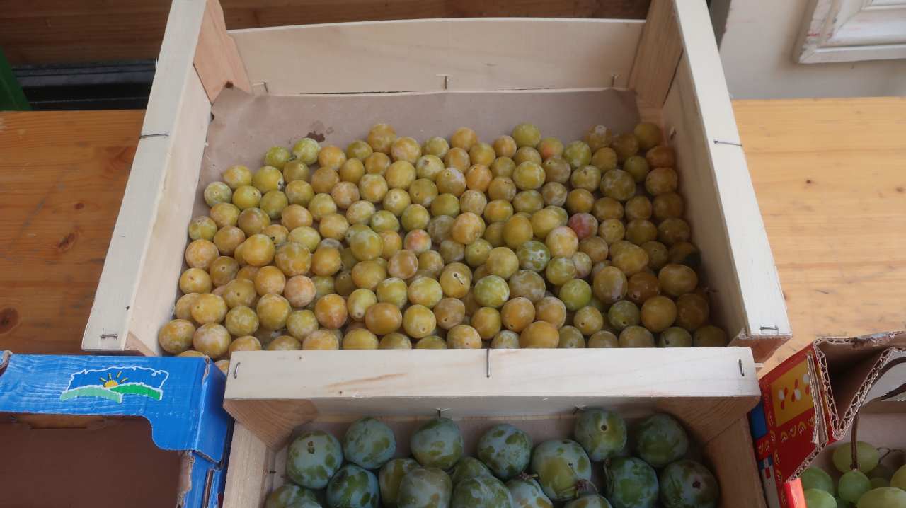batch IMG 6684