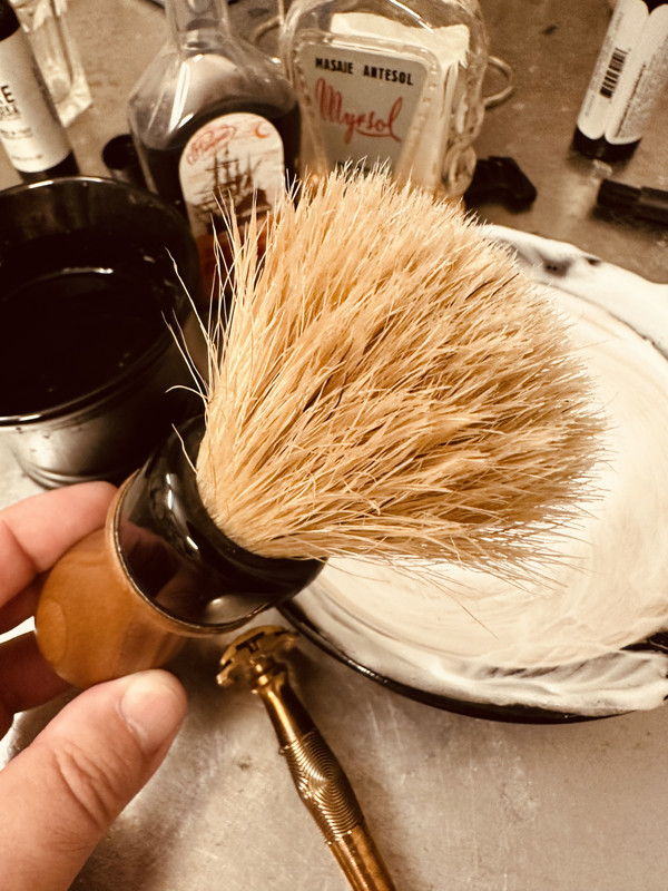 SOTD_20230917_1.jpg