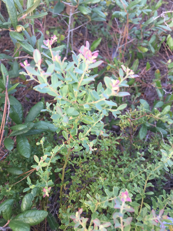 8CFBEB6F-5F8A-4769-AE07-ACC3C8F8F1DD