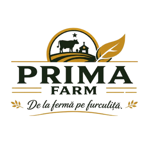 Logo 3