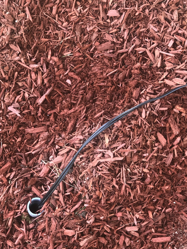 82A5A8B7-7AC2-4299-865A-D3E90DD69226