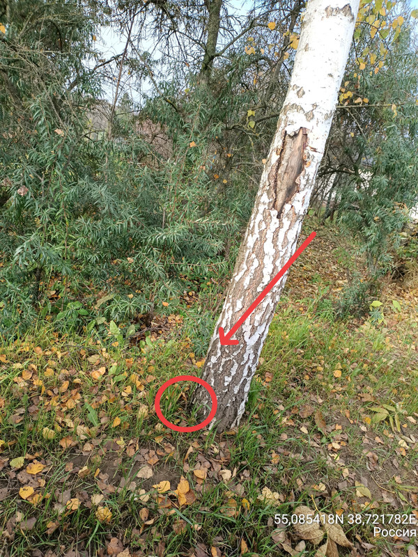 IMG 20251024 131106