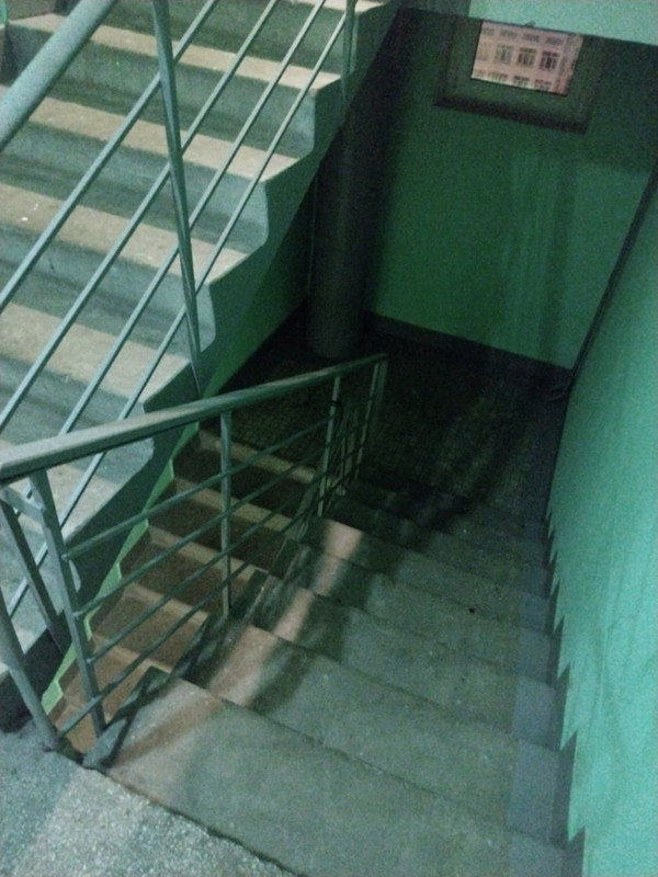 московский падик