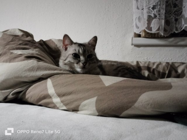 IMG20241018205415.jpg