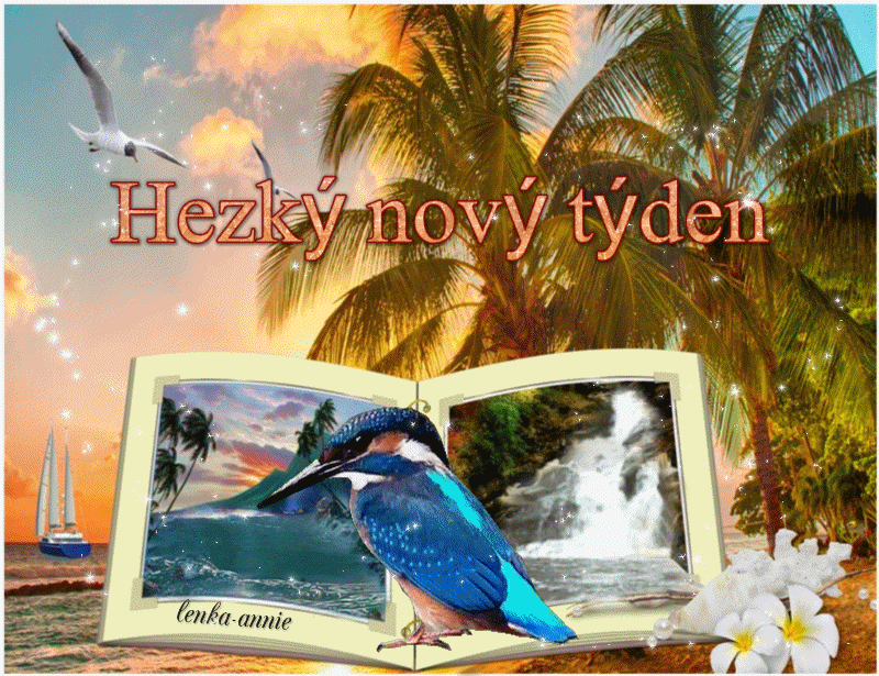 Hezky-novy-tyden-lednacek