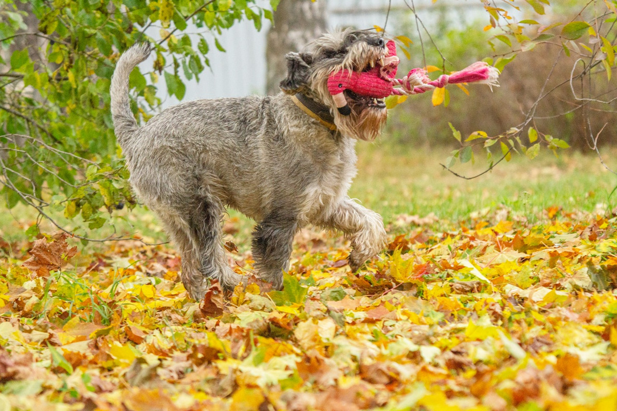 tPjUI-iEUNRDGjMMghlLhTjvME6lf7MLgVLGTkLay2KVYSexeXLan11YLBxpRoaMvkanCycVK_JWKehB8MCQwSzk