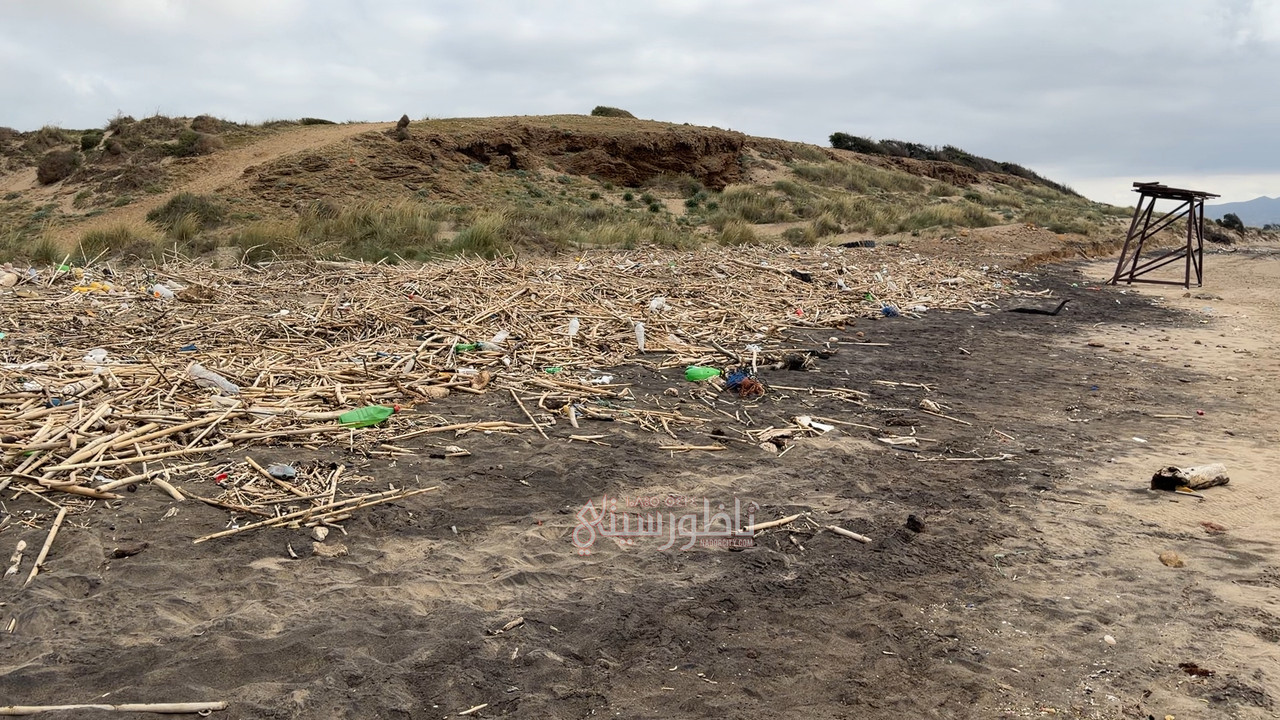 2026-04-26-15-50-IMG-1394-00-00-32-08-Still005