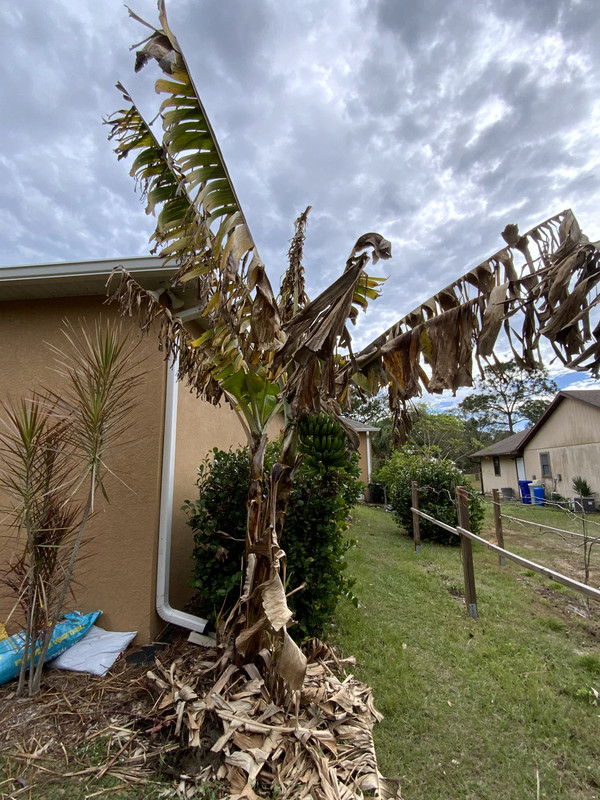 2D049412-8998-4368-B82F-4E3BDB2A4748