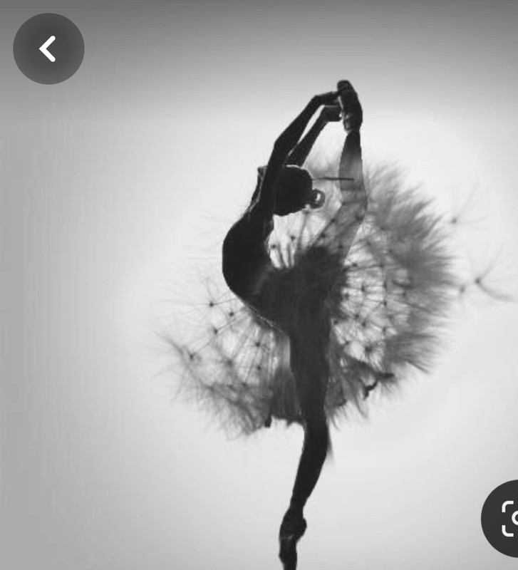 Screenshot_20240330_222234_Pinterest