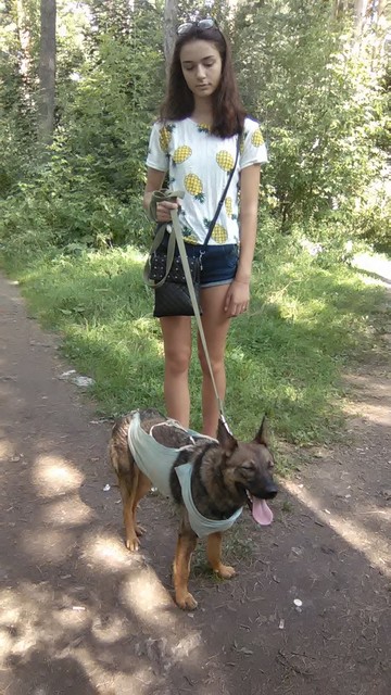 WP_20160822_12_41_42_Pro