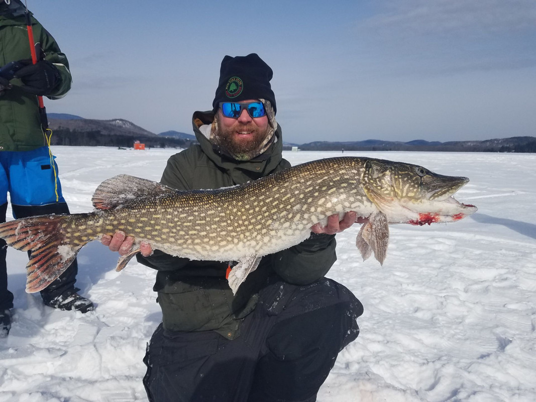 EFCB5598-797E-4F9A-A268-70A994C36B0D