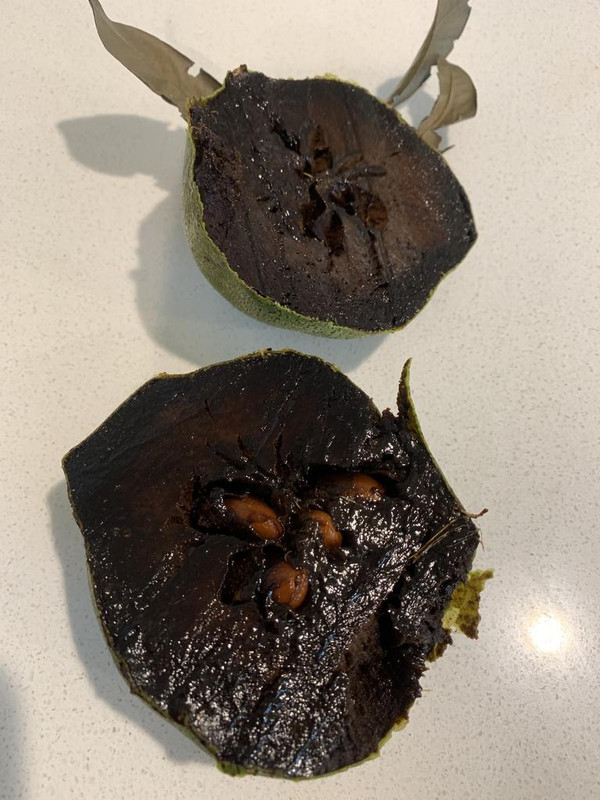 ECAFA2A8-D260-4AAE-855D-8C8622AF2677