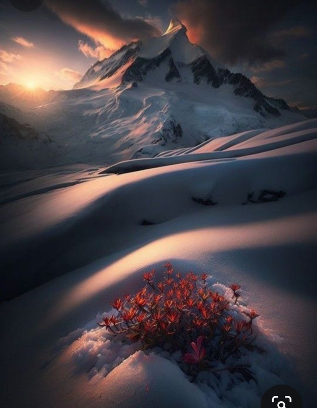 Screenshot_20230831_232821_Pinterest