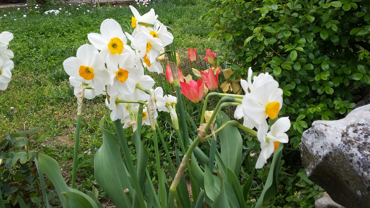 20190420_131659