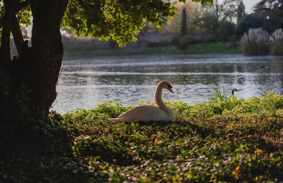 Screenshot_20240501_145935_Threads