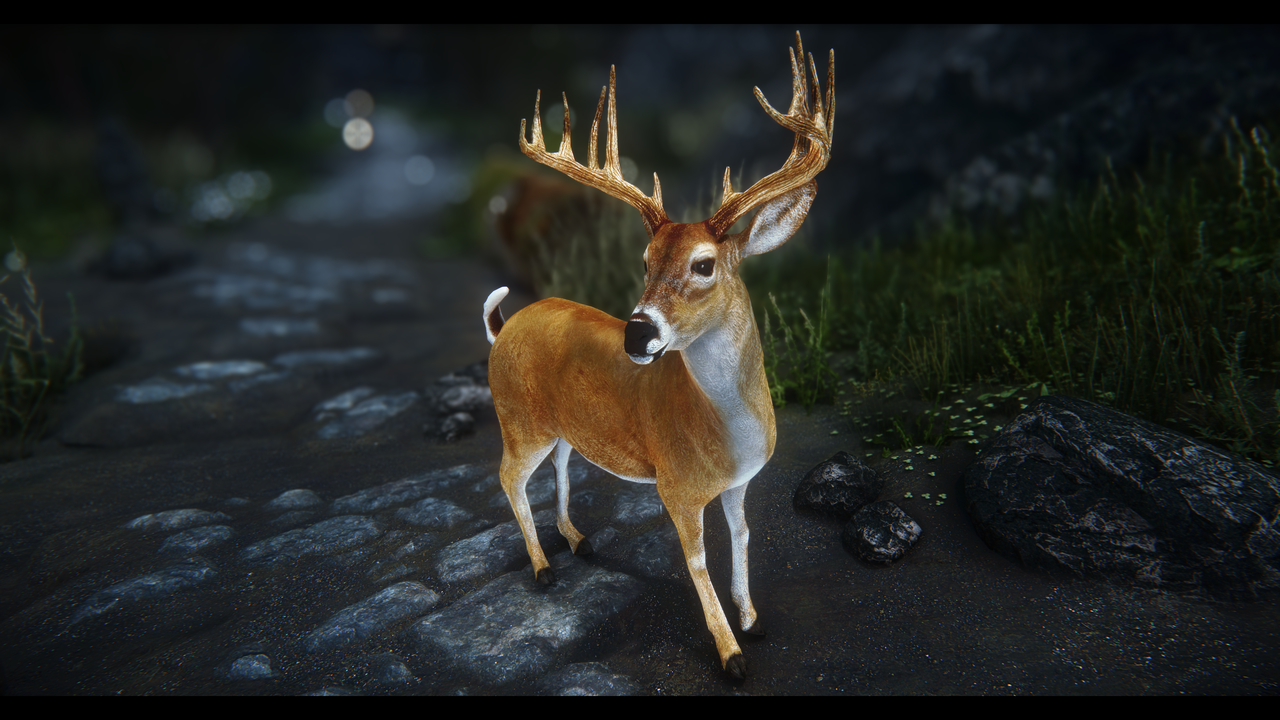 Skyrim SE 2026 02 02 08 35 23 097