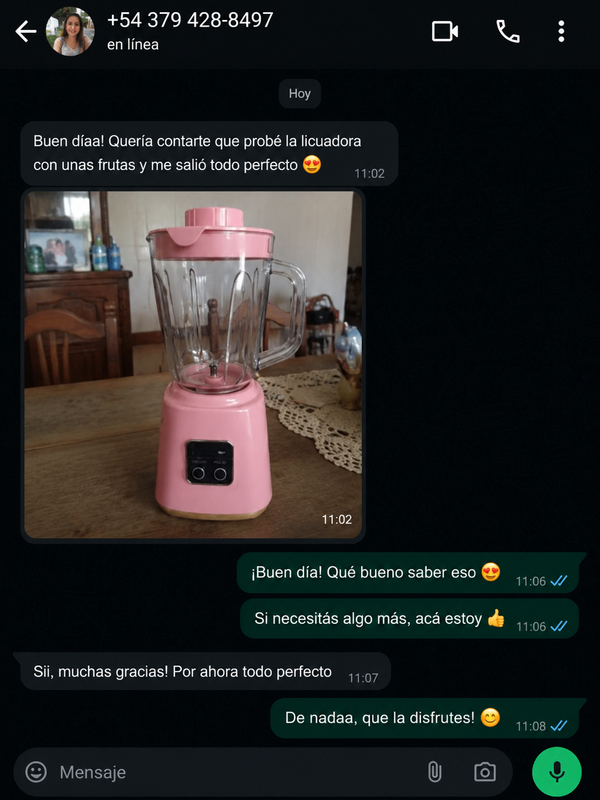 Chat de WhatsApp cliente 8