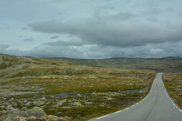 21 días por el Sur de Noruega - Blogs de Noruega - Día 10. Crucero por el Naeroyfjord (7)