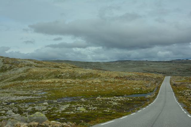 Día 10. Crucero por el Naeroyfjord - 21 días por el Sur de Noruega (7)