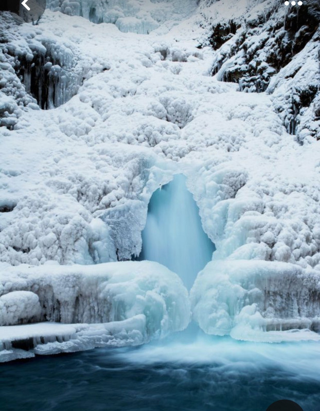 Screenshot_20240126_143352_Pinterest