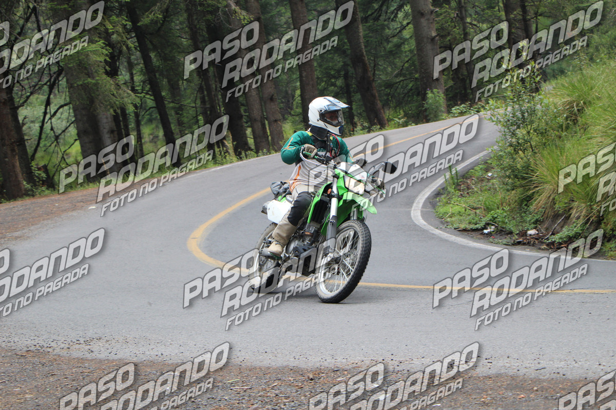 IMG 8135 wm 208395 5 watermarked — Postimages