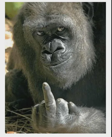 2025 09 30 70f885ec41c878