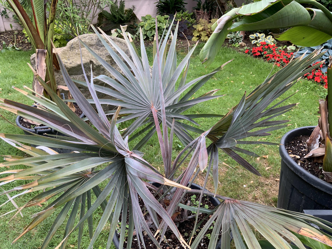 53173B09-00EF-4608-8DA7-81B159045ADD