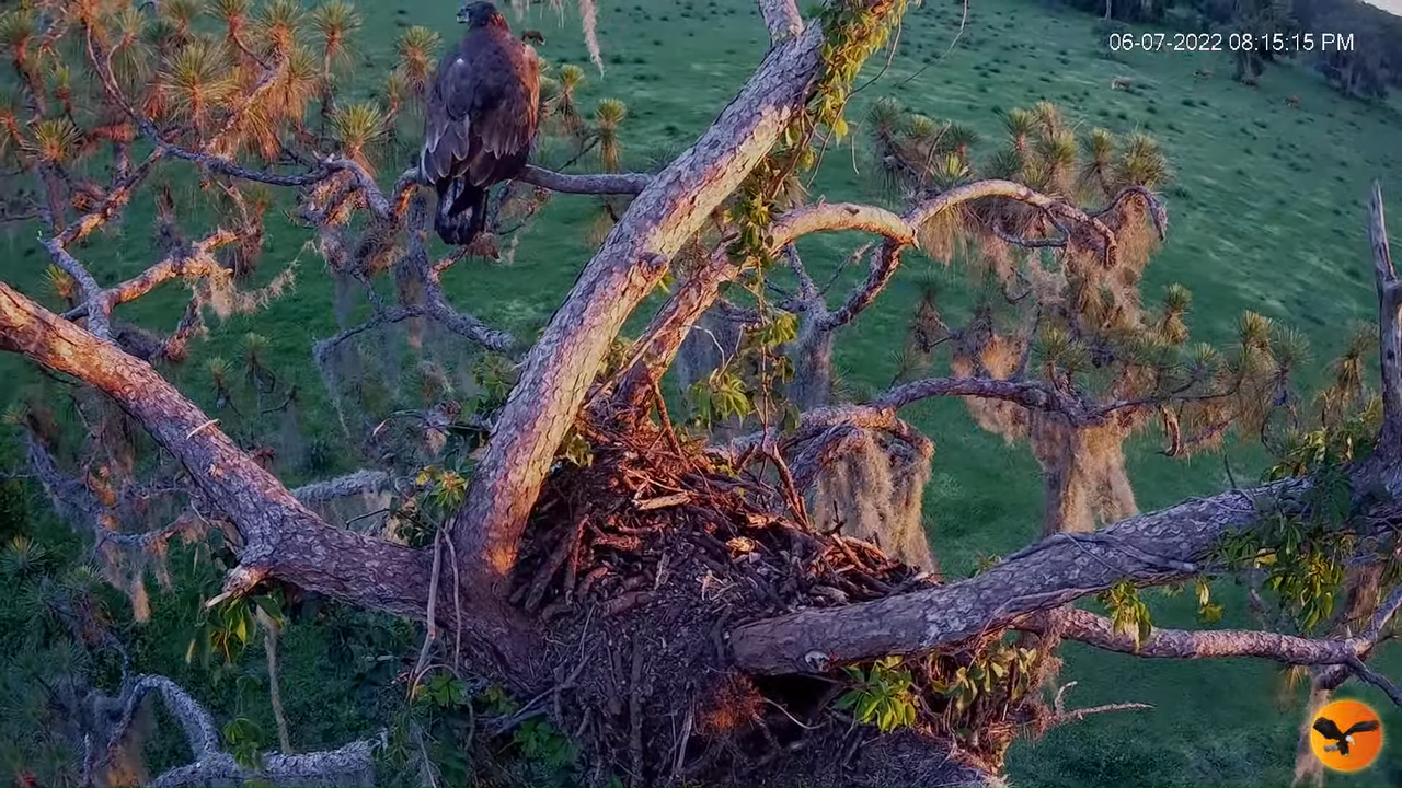 EC 4K Overhead Cam 4-59-32 screenshot