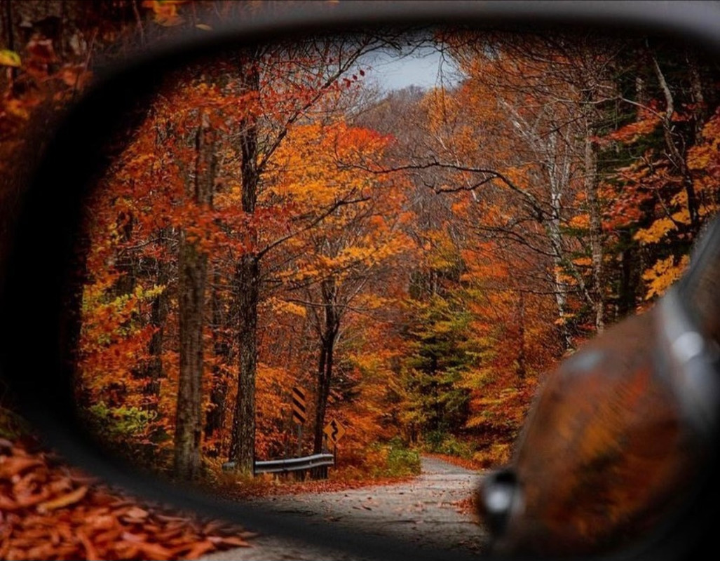 Screenshot_20231206_221750_Instagram