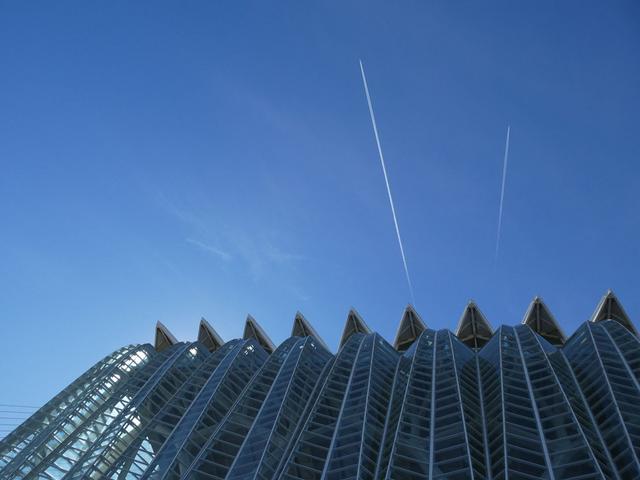 VALENCIA en un fin de semana - Blogs of Spain - Sábado 30/12: Llegada a Valencia y visita al Oceanogràfic (3)