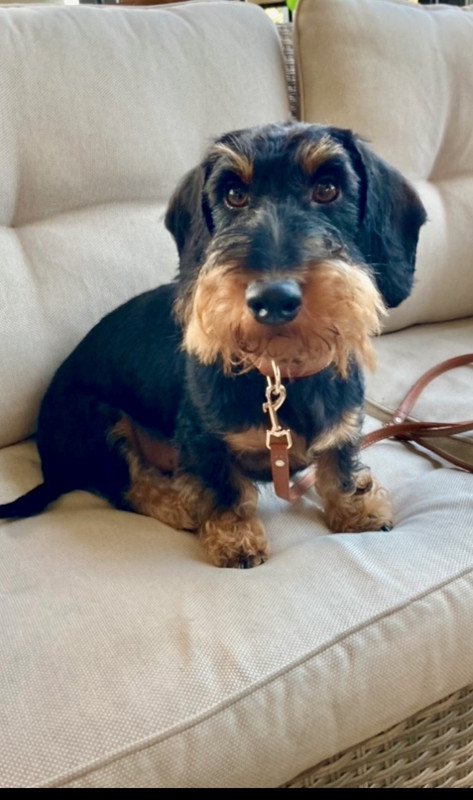 [Image: IMG-20240802-111106.jpg]