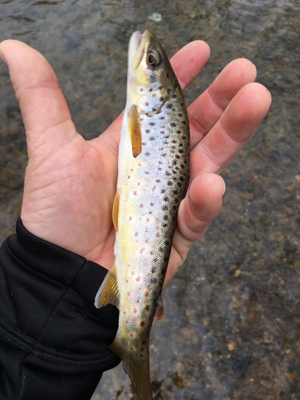 3DAAF218-8870-4B87-B078-4C585CC16A96