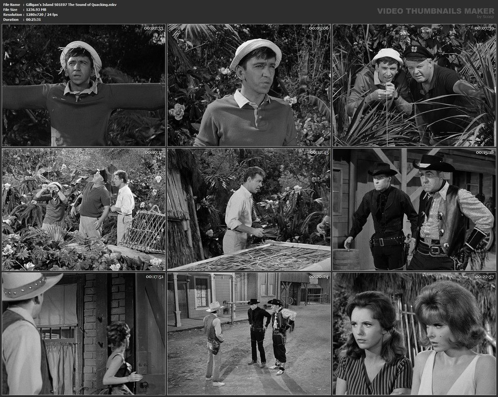 Gilligan's Island S01E07 The Sound of Quacking.mkv