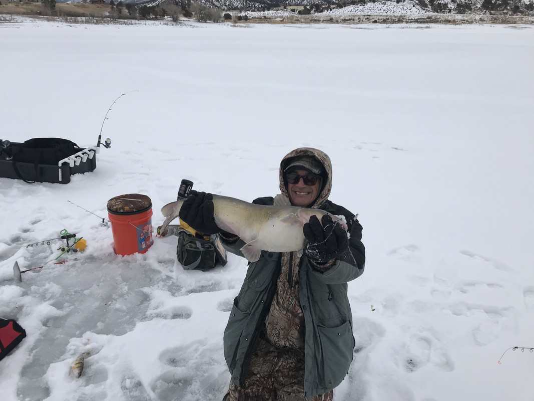 B1E7EFE7-8378-475A-A3AB-D75B362AF559