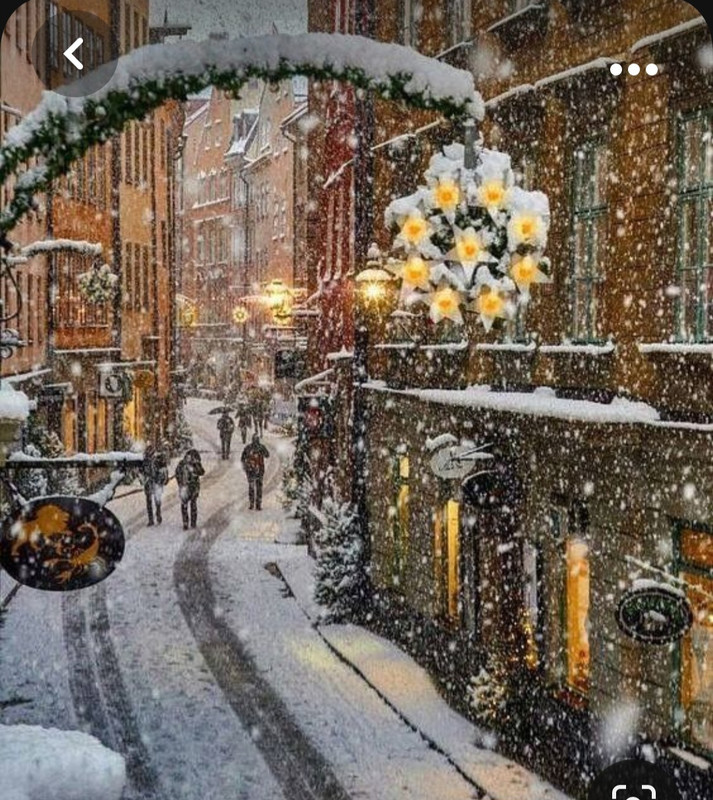 Screenshot_20231101_232354_Pinterest