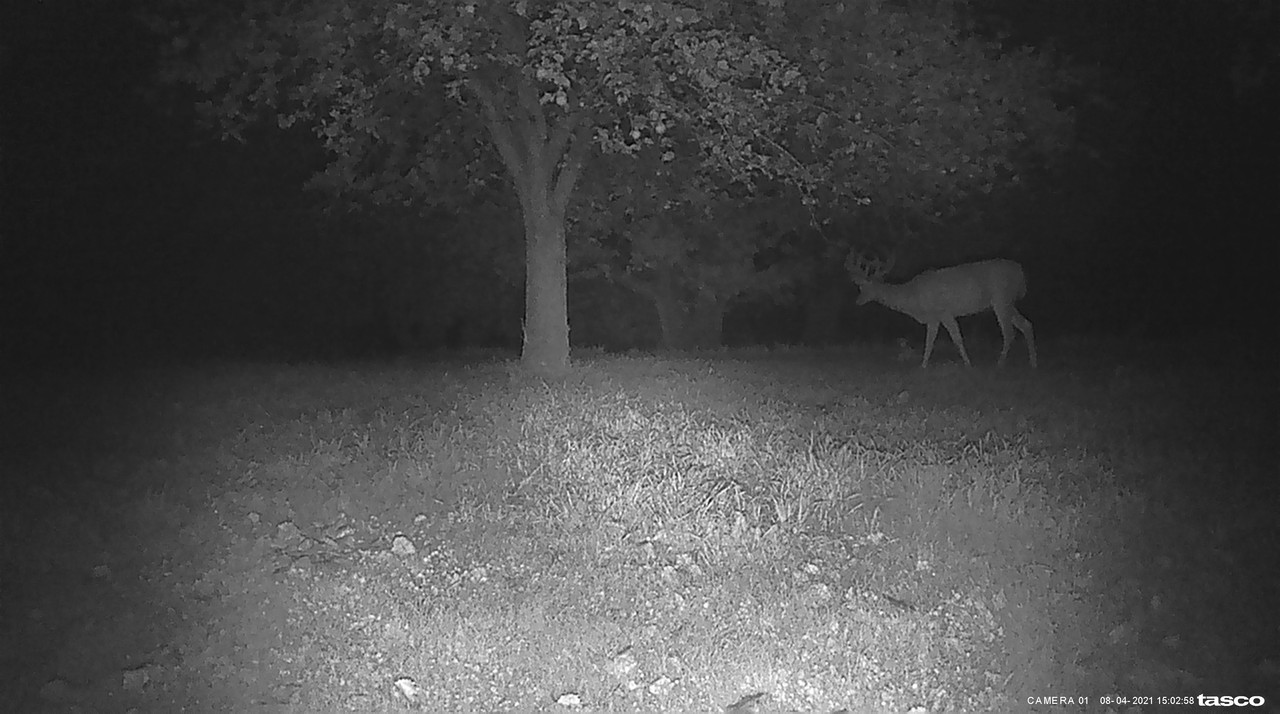 1EC1F1C6-8F27-4CB1-8D75-DF7294682CD3