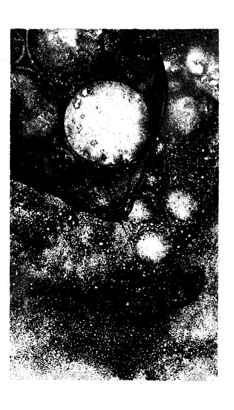 p0014