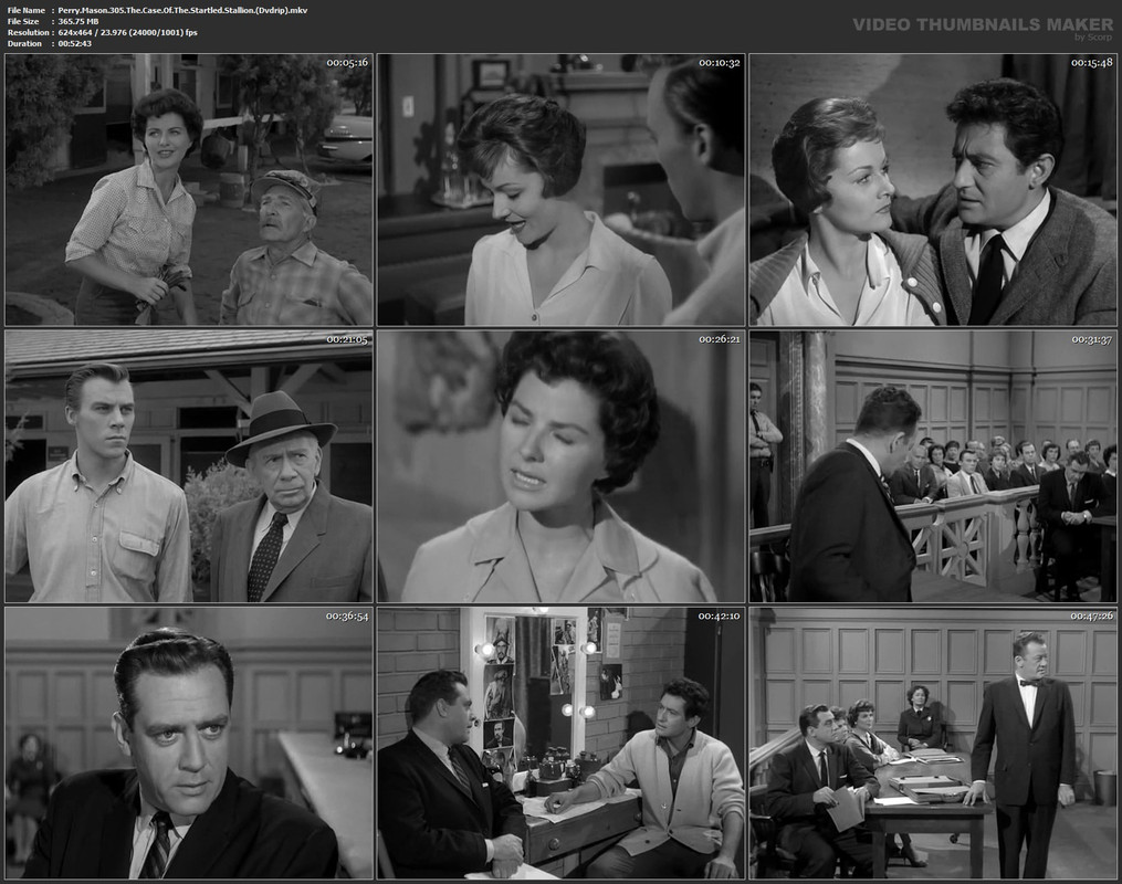Perry.Mason.305.The.Case.Of.The.Startled.Stallion.(Dvdrip).mkv