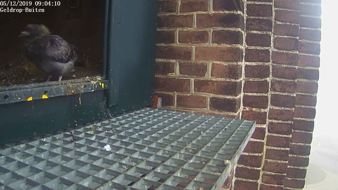 9D1C2869-B1CC-437D-9B47-25B11FF5B472