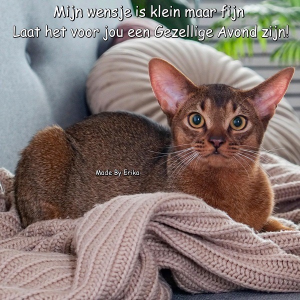 479A8AA1-F487-4177-8666-EA0DFA560C3E