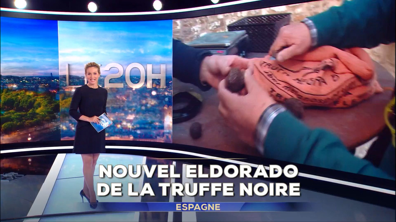 29 December - 19.00.00 - Journal. Pas de description disponible.