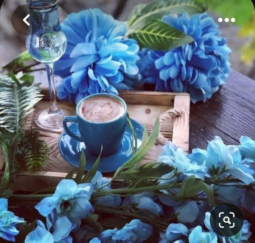 Screenshot_20230717_230143_Pinterest