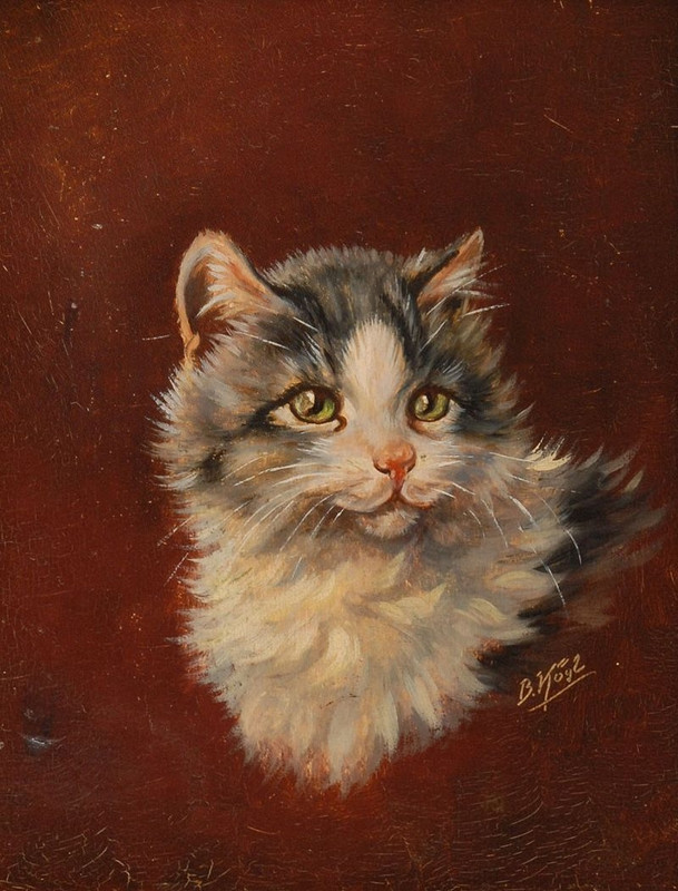 Porträt eines jungen Kätzchens