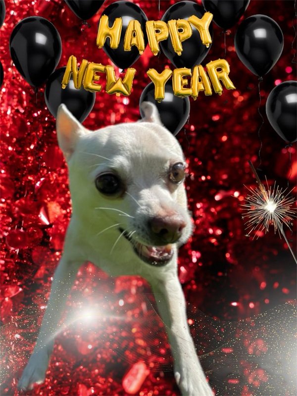 happy-new-year-pixie.jpg