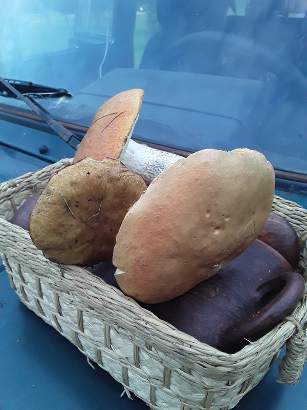 ÐÐ¾Ñ ÑÑÐ¾ Ð¿Ð¾Ð´Ð±ÐµÑÑÐ·Ð¾Ð²Ð¸ÐºÐ¸!