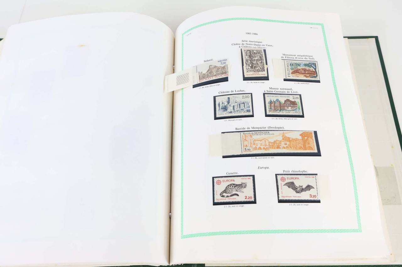 IMG 5603