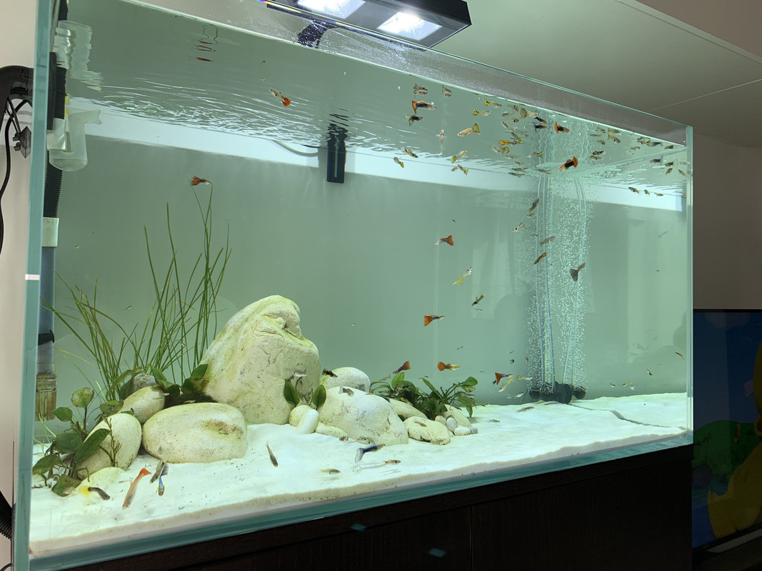 880289A5-88AC-4BE8-BFA6-280D3CE68C41